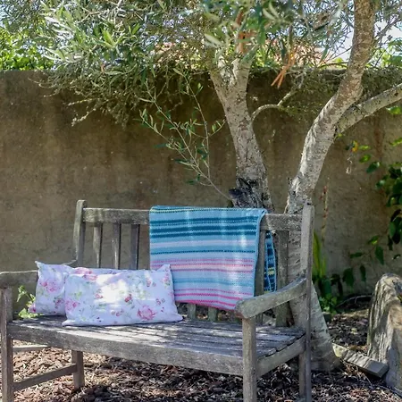 Like-home-t1 House, Pool, Ac, Garden *